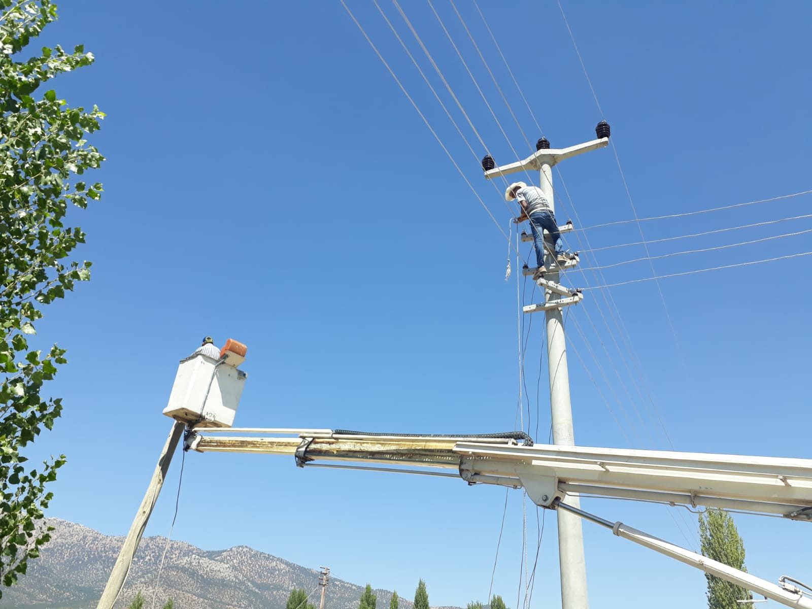 Özgür Deniz Seracılık Elmalı: 2 km enerji nakil hattı, 50 kVA trafo ve 25 kW çatı GES — fotoğraf 3